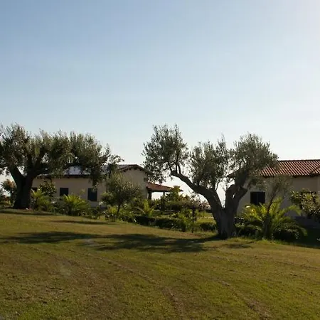 Ninea 3* Ricadi