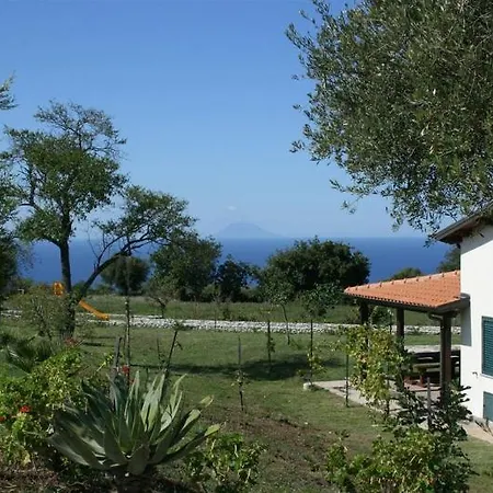 Hotel Ninea Ricadi