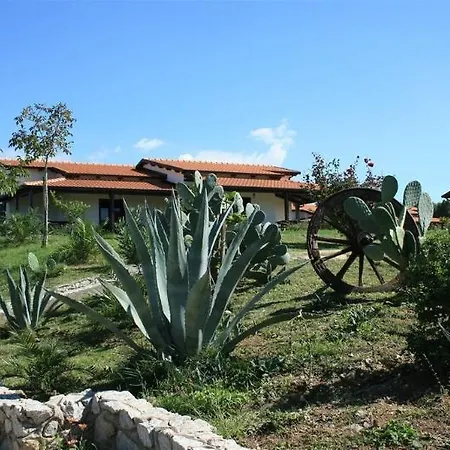 Ninea Hotel 3*